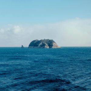 A Daughter of That Sea